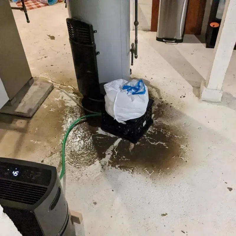 Sewage Backup Cleanup Service in Spinnerstown, PA